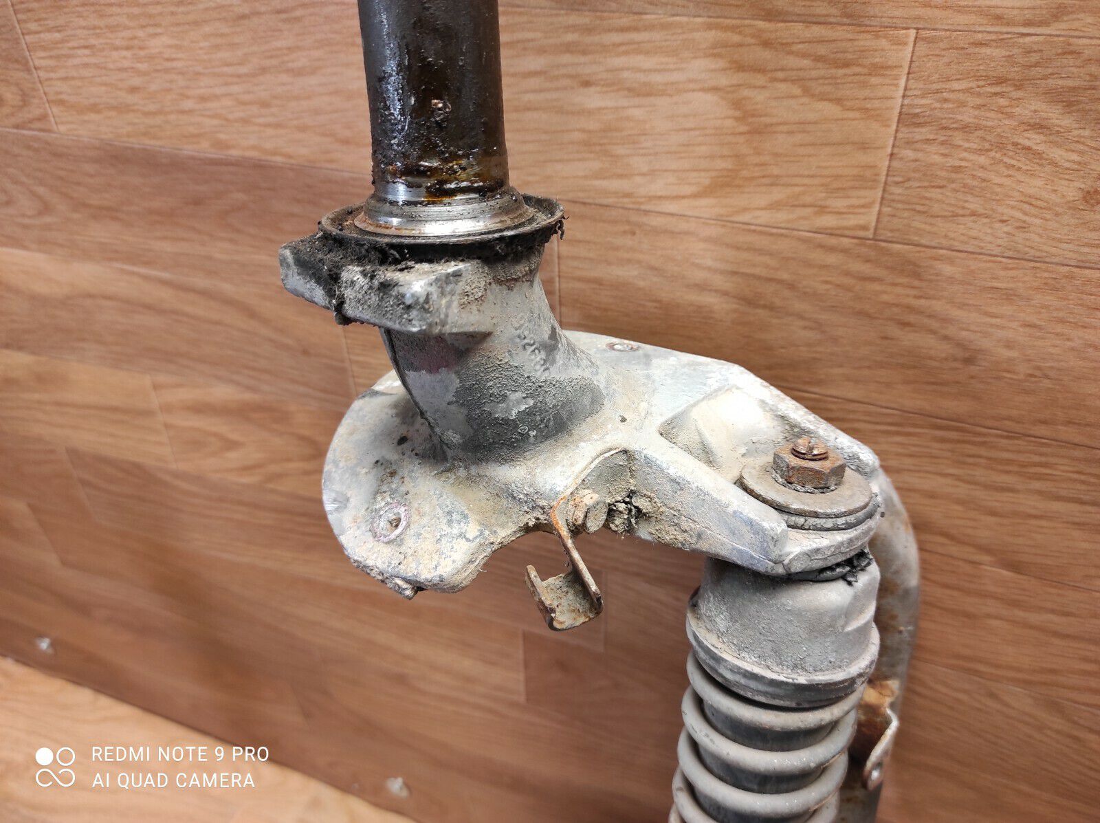 Forum member supplied image with no explanatory text