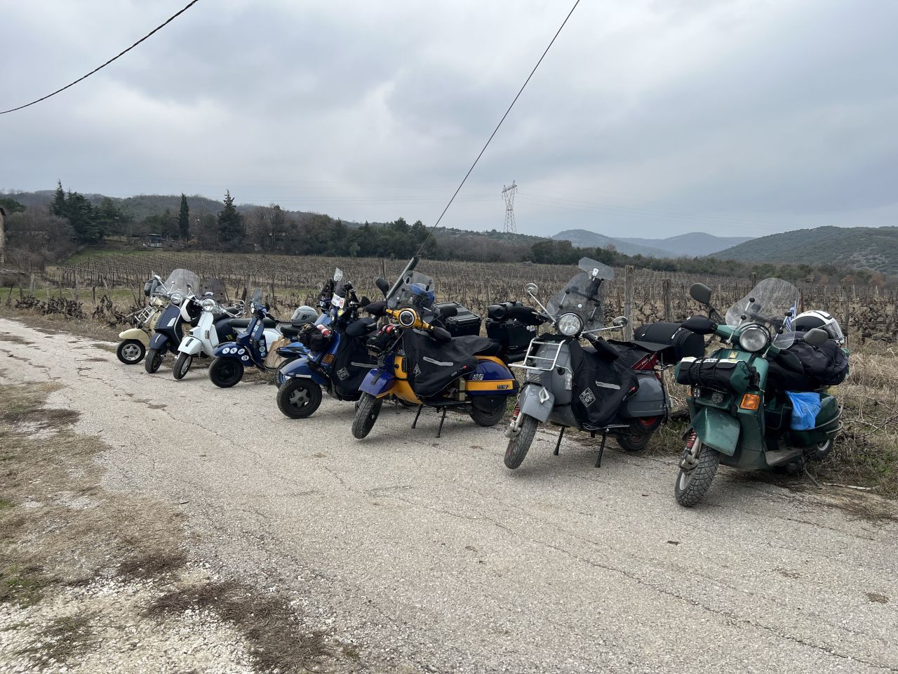 Forum member supplied image with no explanatory text