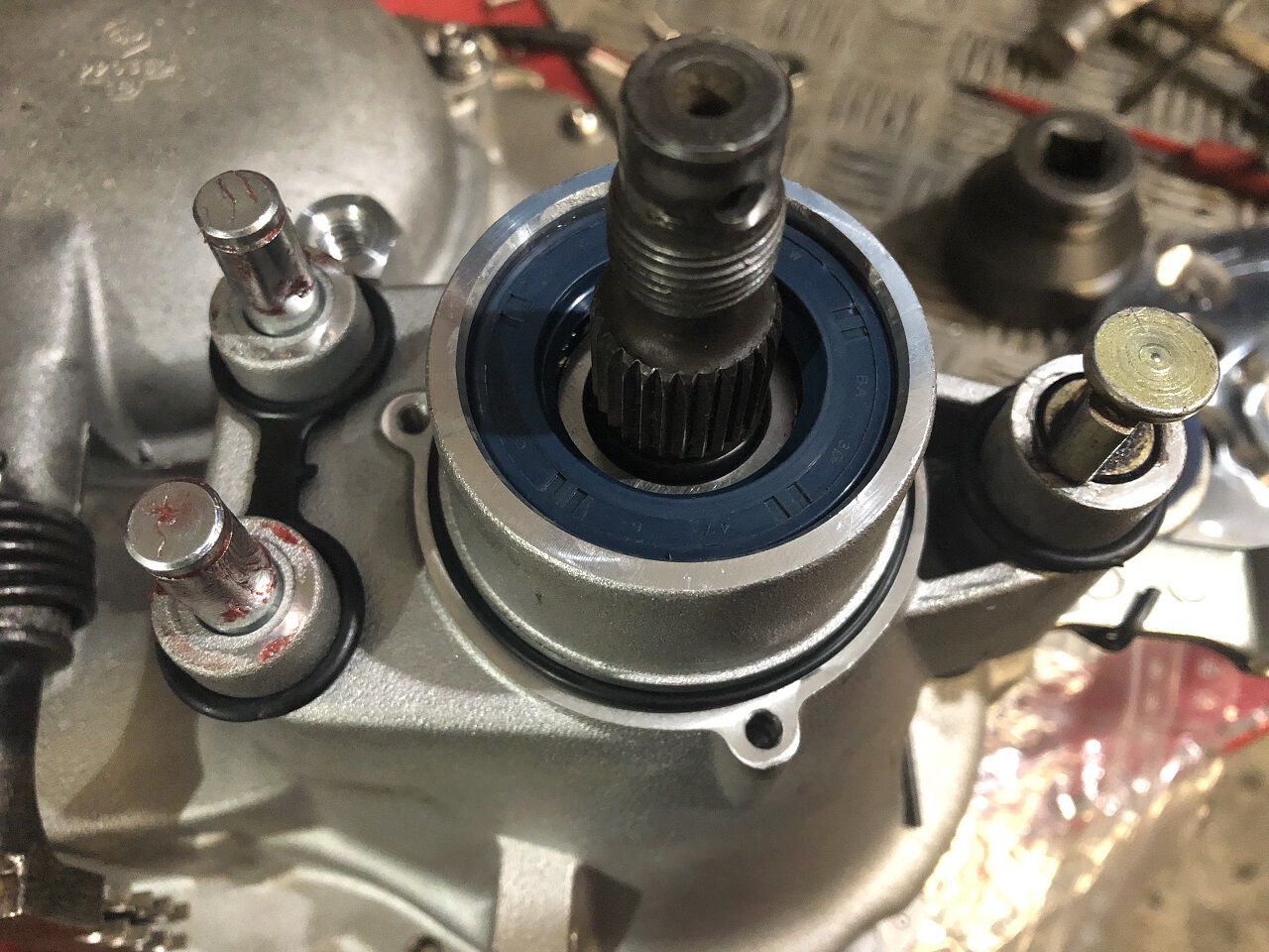 Forum member supplied image with no explanatory text