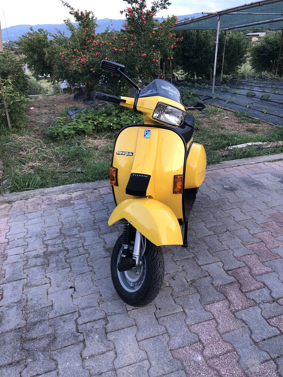 Forum member supplied image with no explanatory text