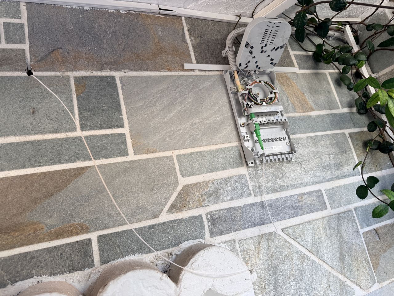 Forum member supplied image with no explanatory text