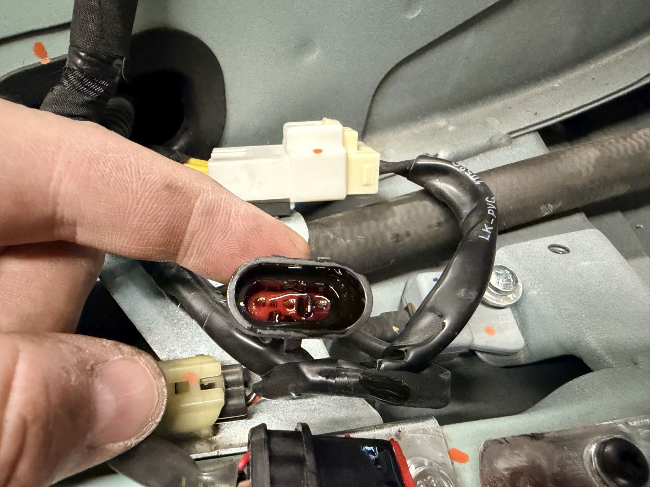 Oily plug