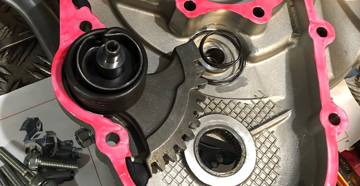 Forum member supplied image with no explanatory text