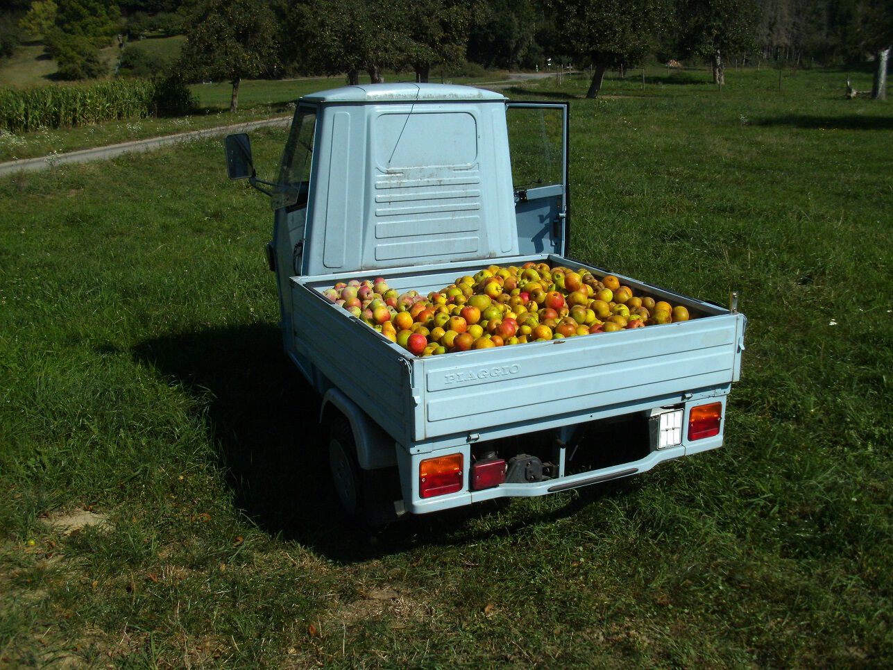 Forum member supplied image with no explanatory text
