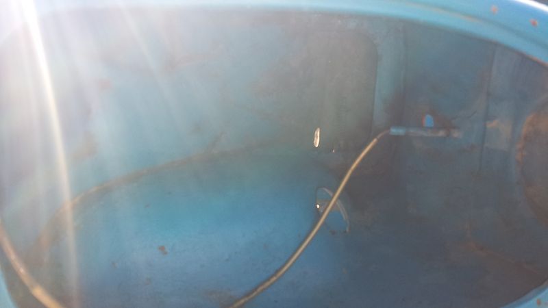 Forum member supplied image with no explanatory text