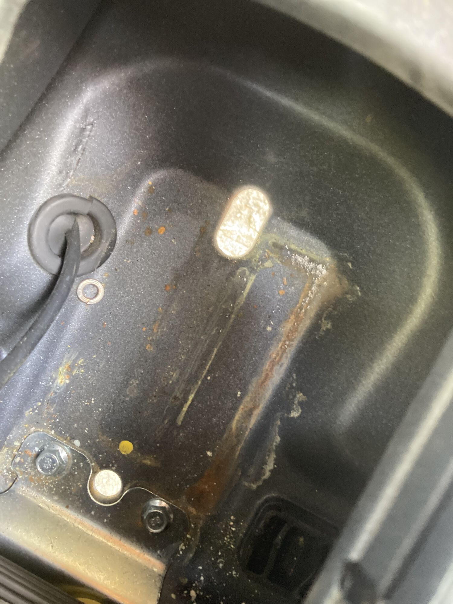 Forum member supplied image with no explanatory text