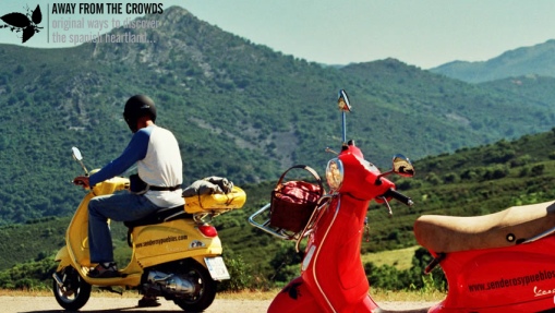 Forum member supplied image with no explanatory text