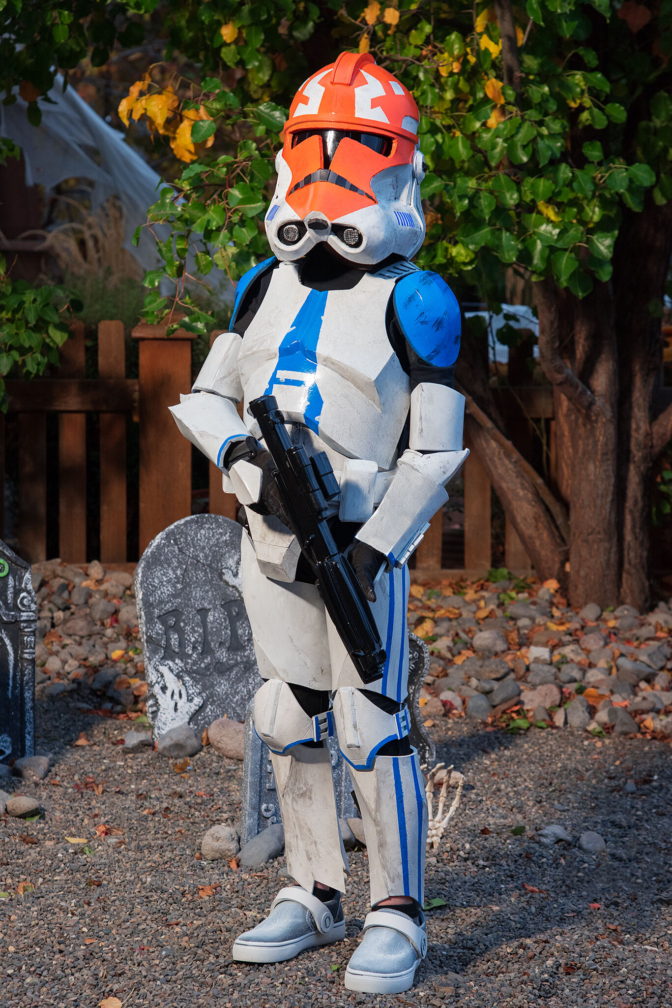 Forum member supplied image with no explanatory text