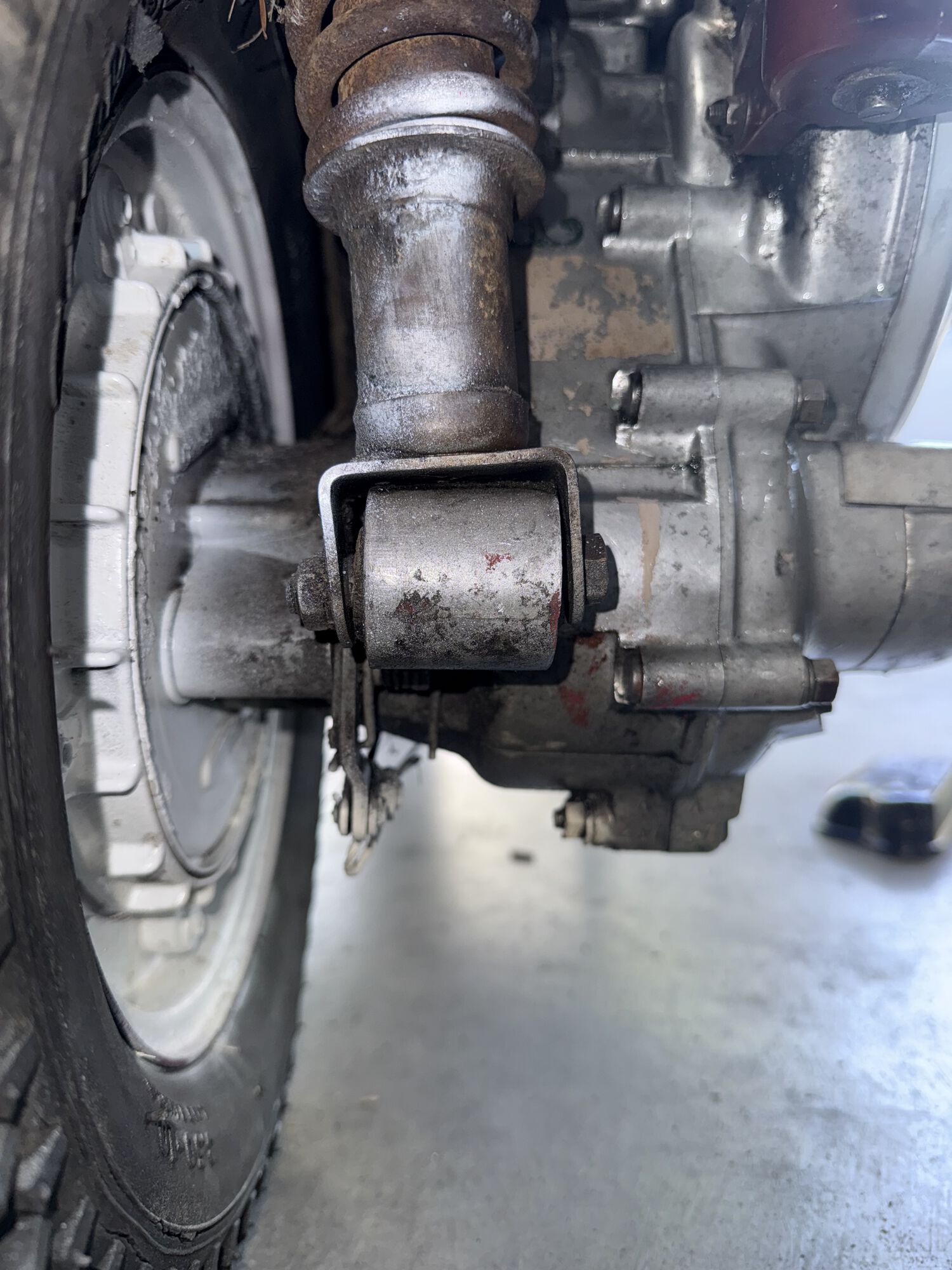 Forum member supplied image with no explanatory text