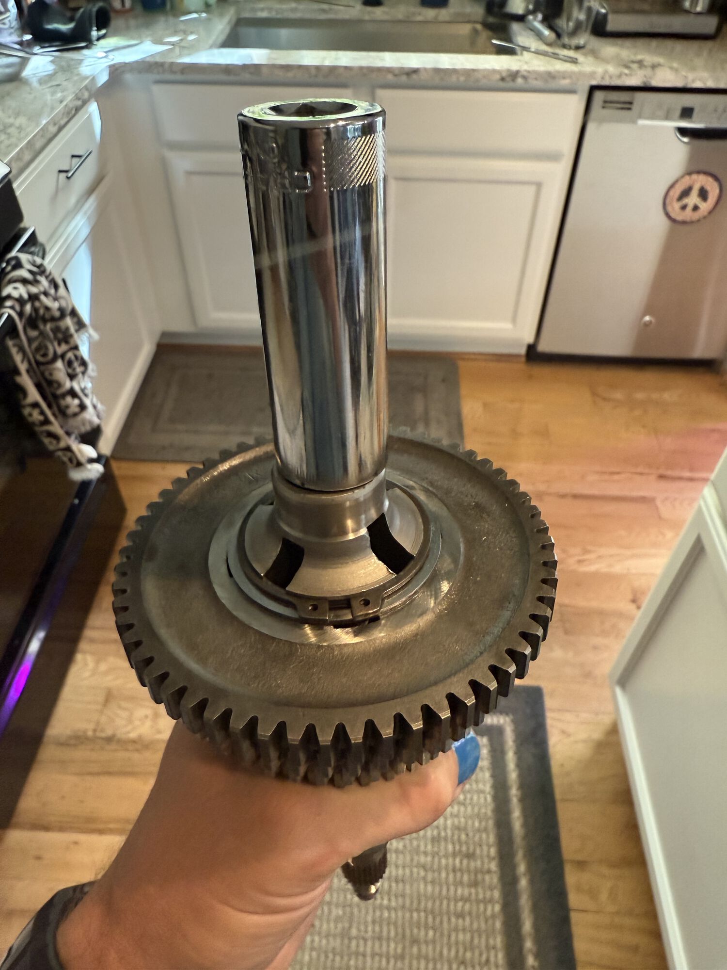 Forum member supplied image with no explanatory text