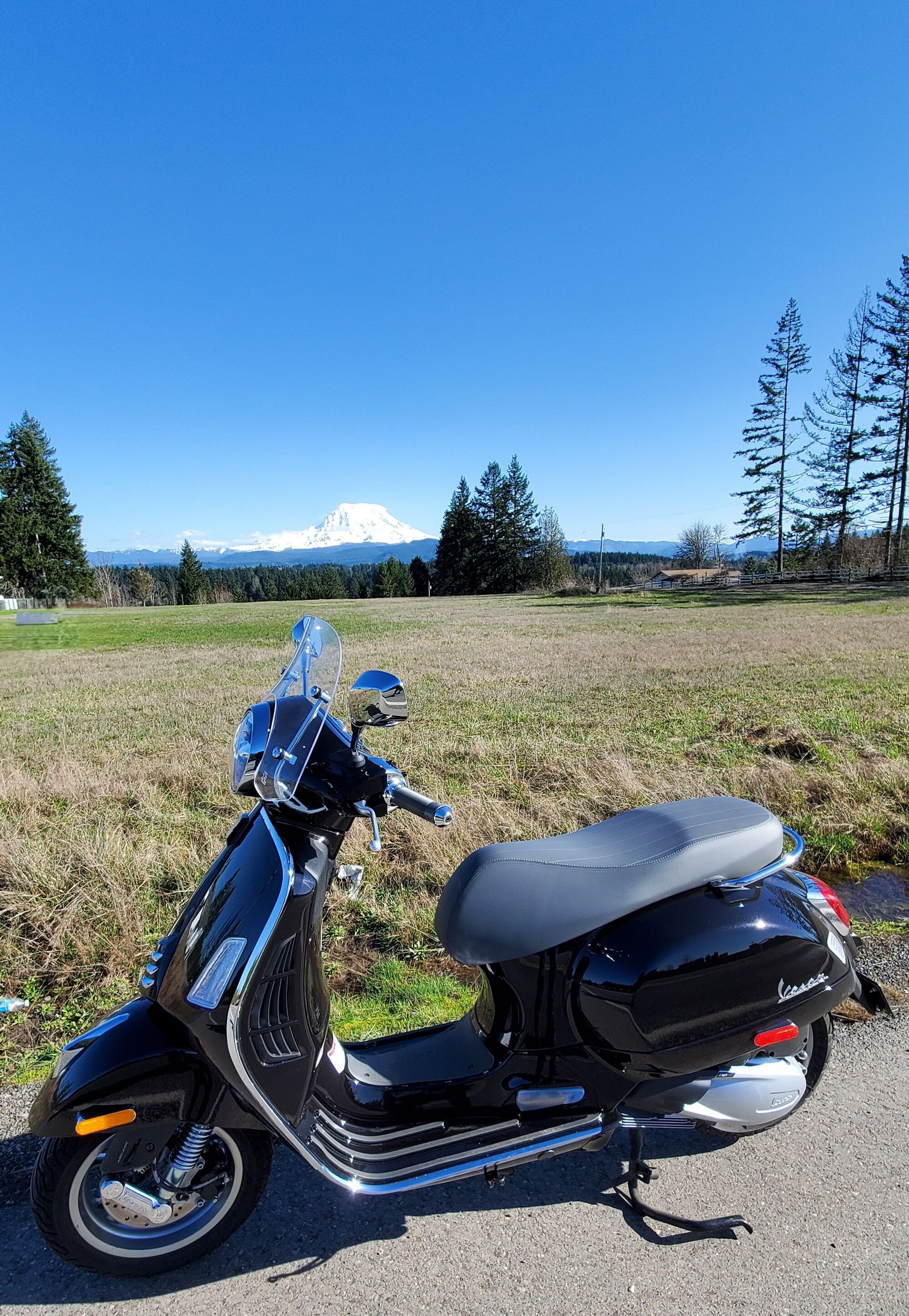 Mt. Rainier (Tahoma) in the background