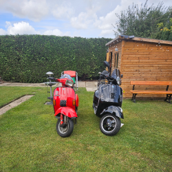 @scooterboy1969 avatar