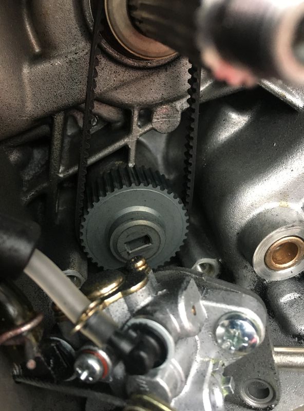Forum member supplied image with no explanatory text