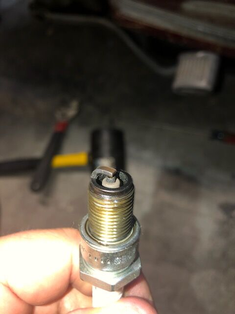 Forum member supplied image with no explanatory text