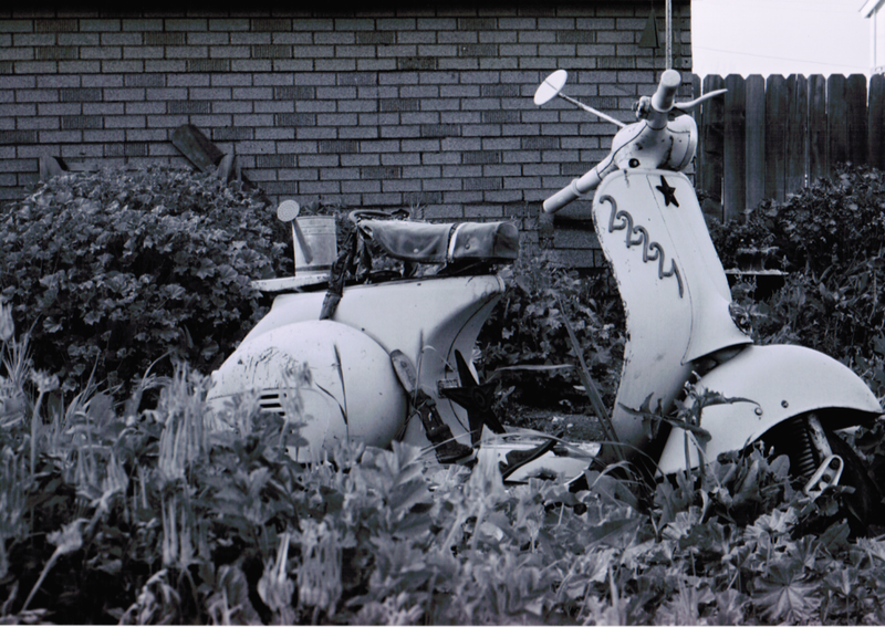 Forum member supplied image with no explanatory text