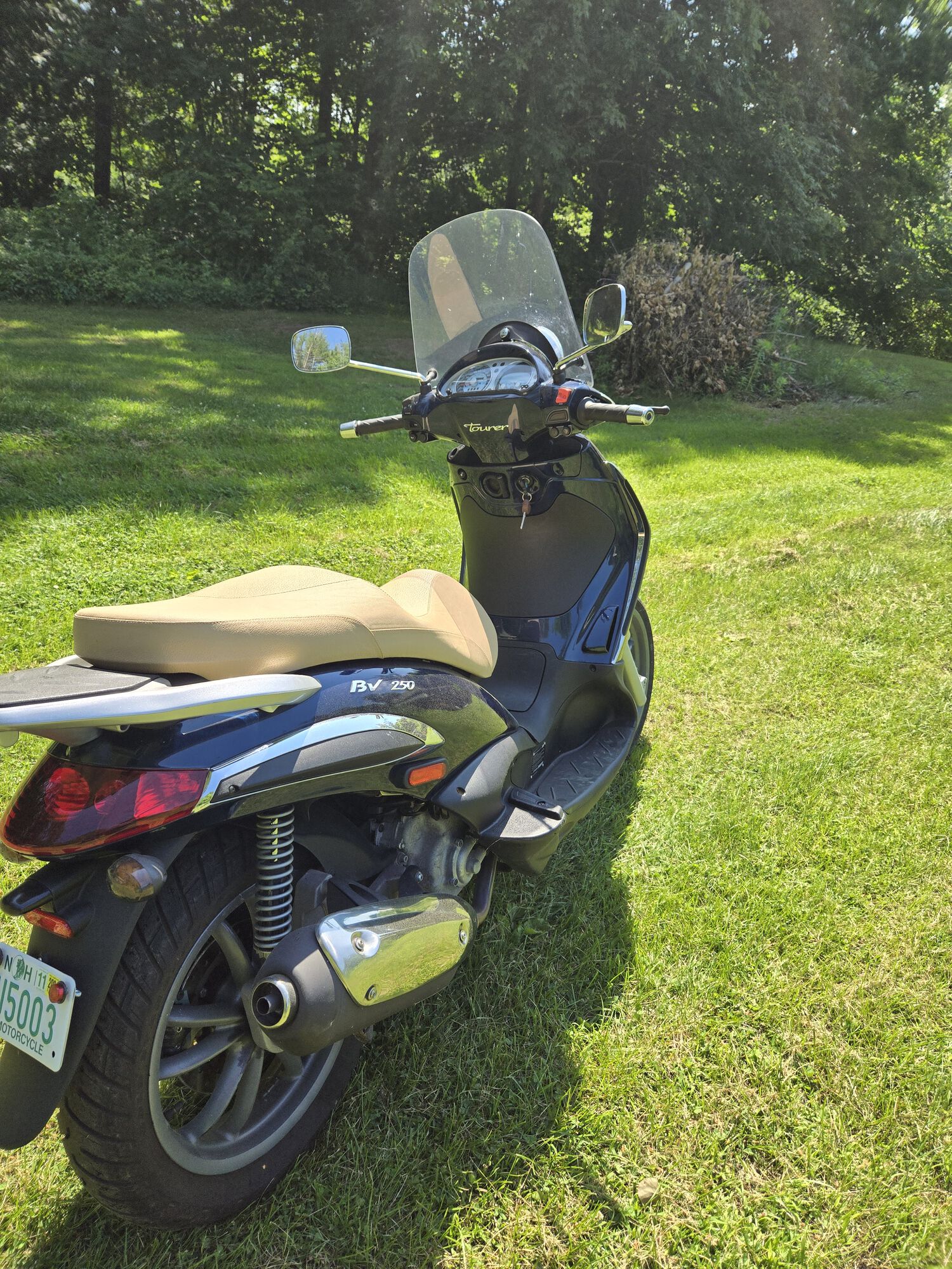2009 BV 250 FOR SALE