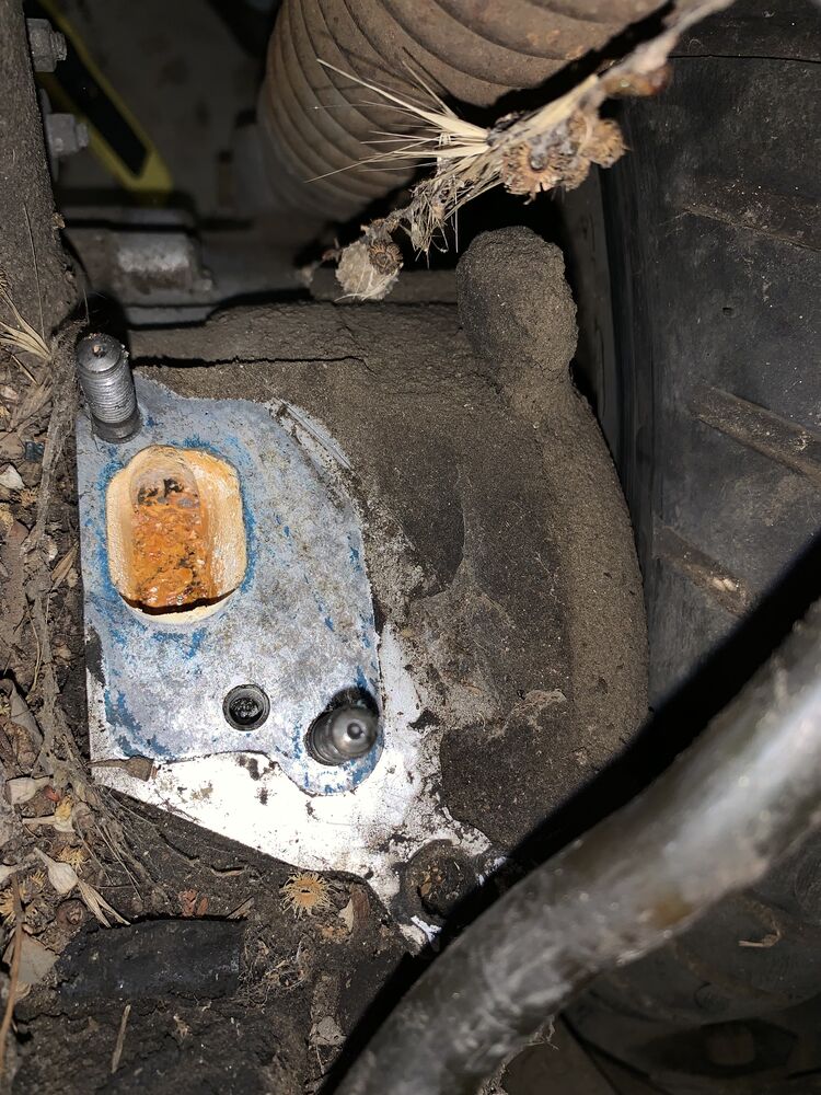 Forum member supplied image with no explanatory text