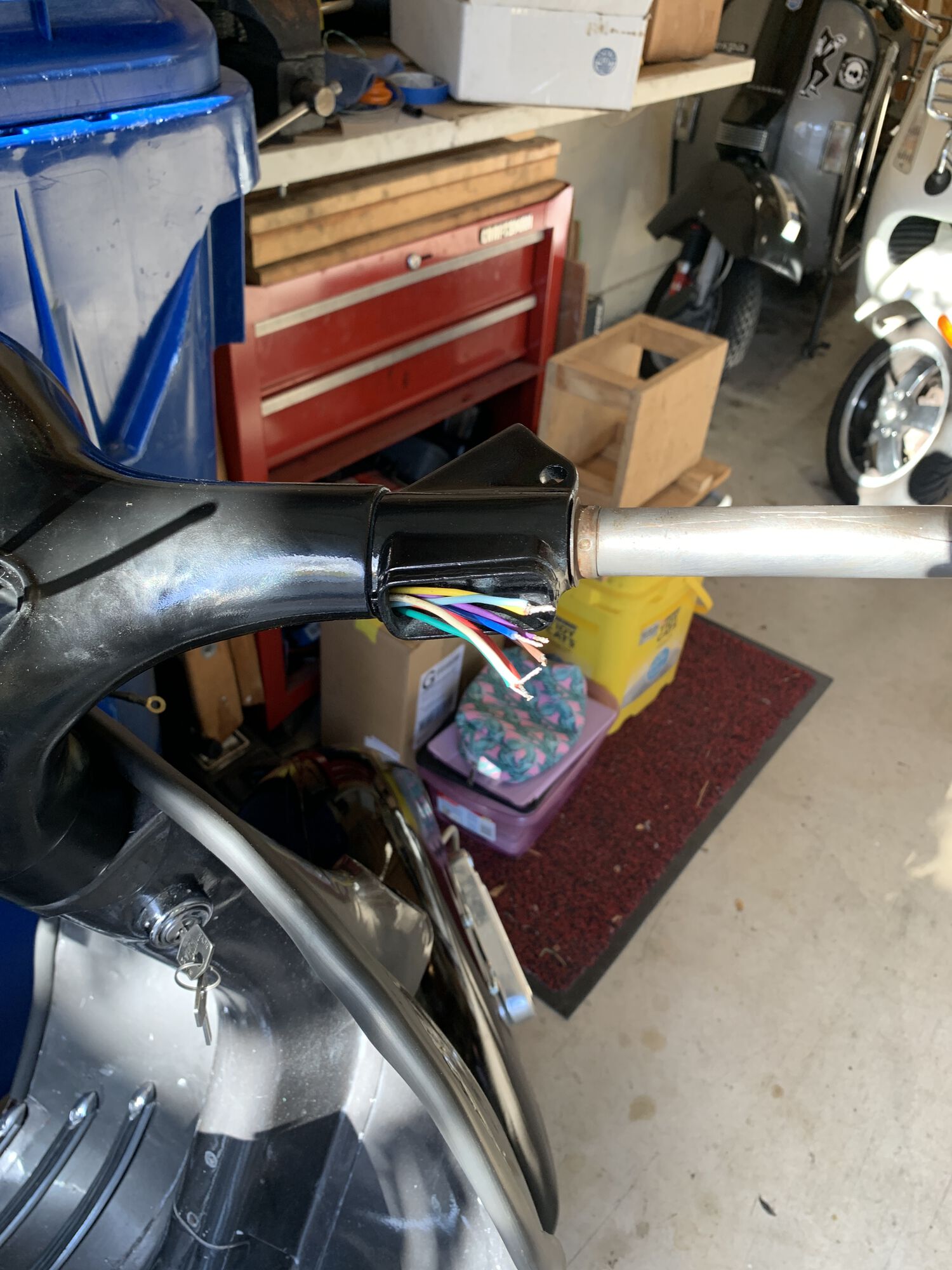 Forum member supplied image with no explanatory text