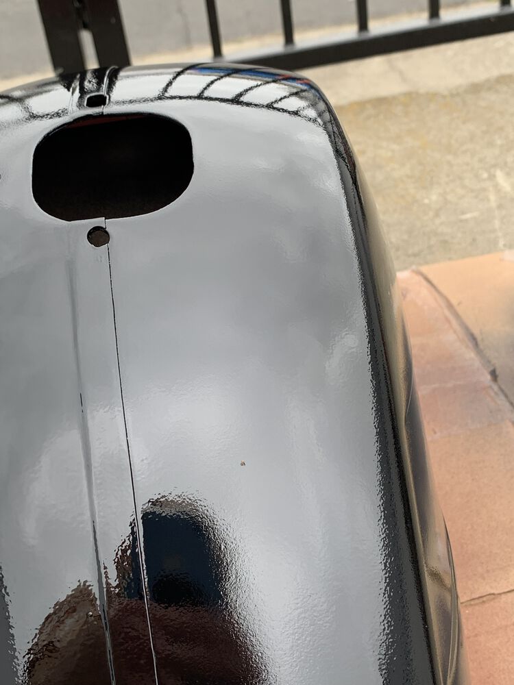 a gnat, forever part of this fender now