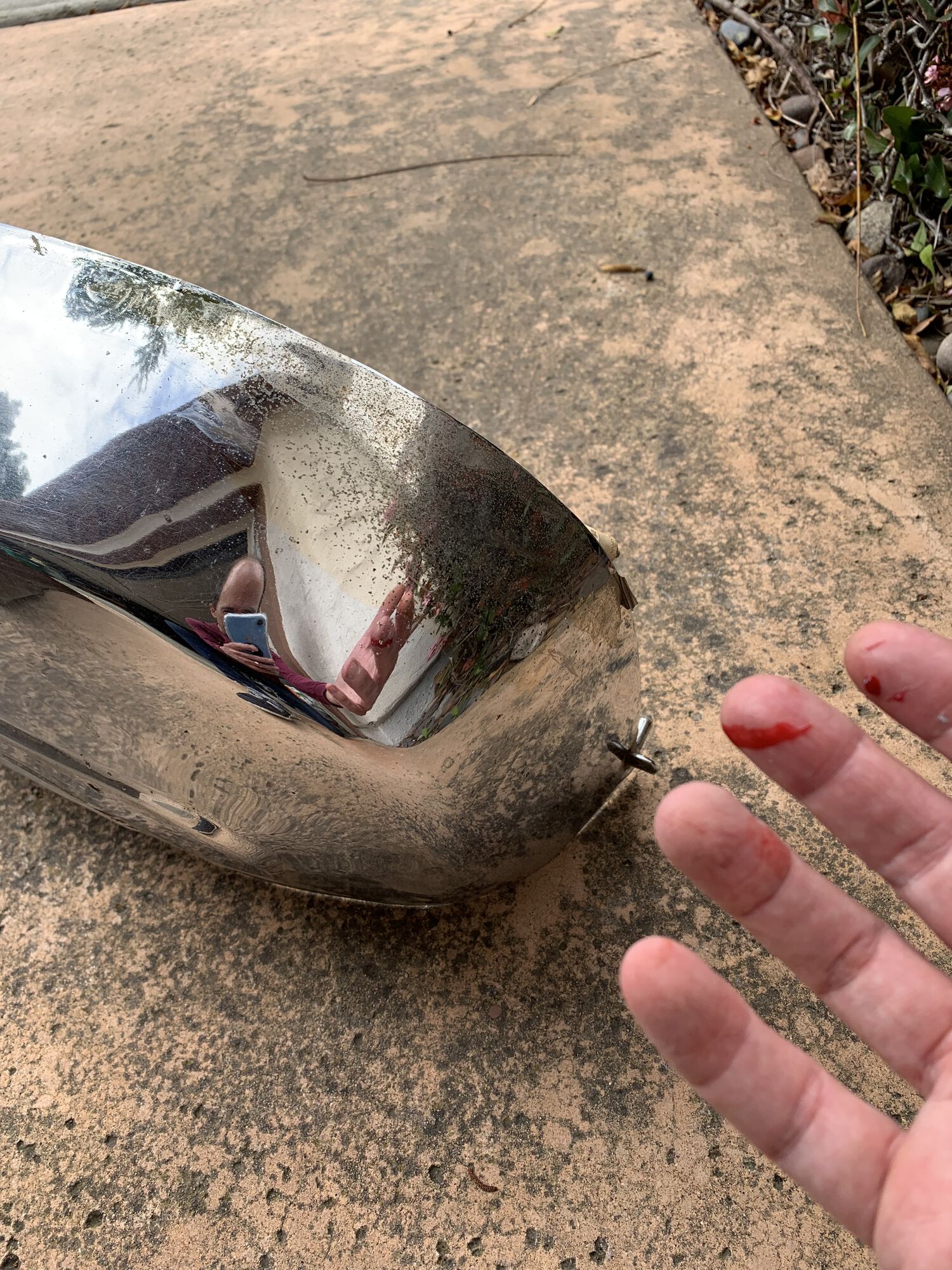 Forum member supplied image with no explanatory text