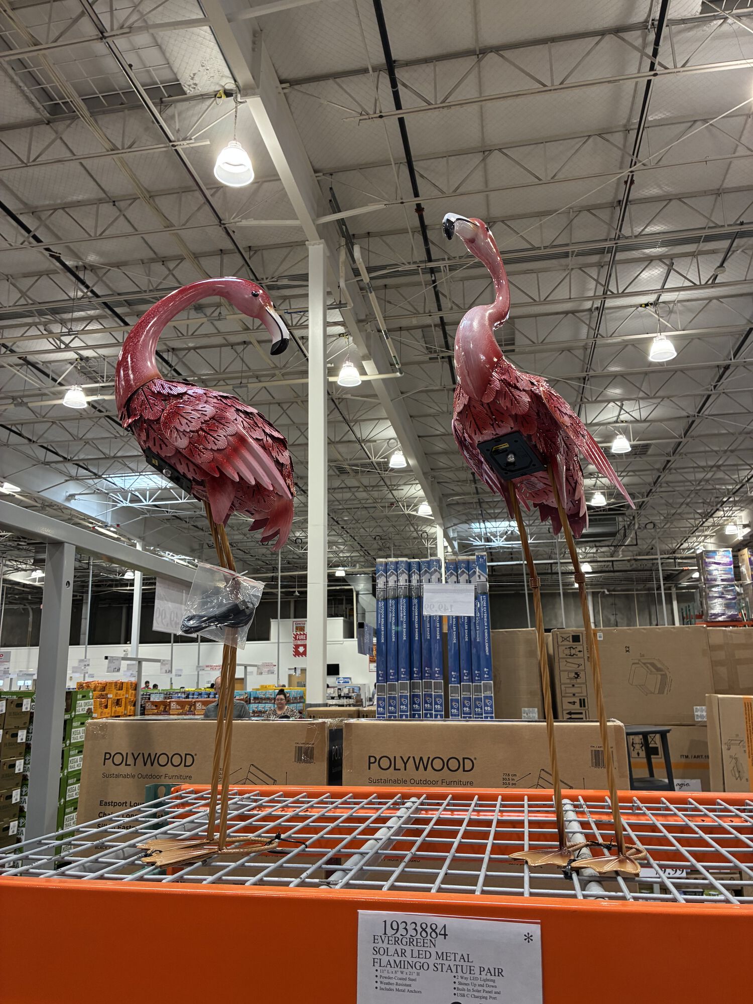 Look! At Costco!