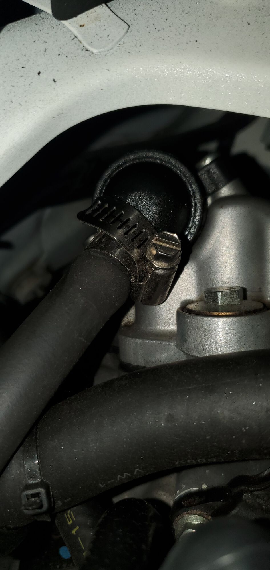 Forum member supplied image with no explanatory text