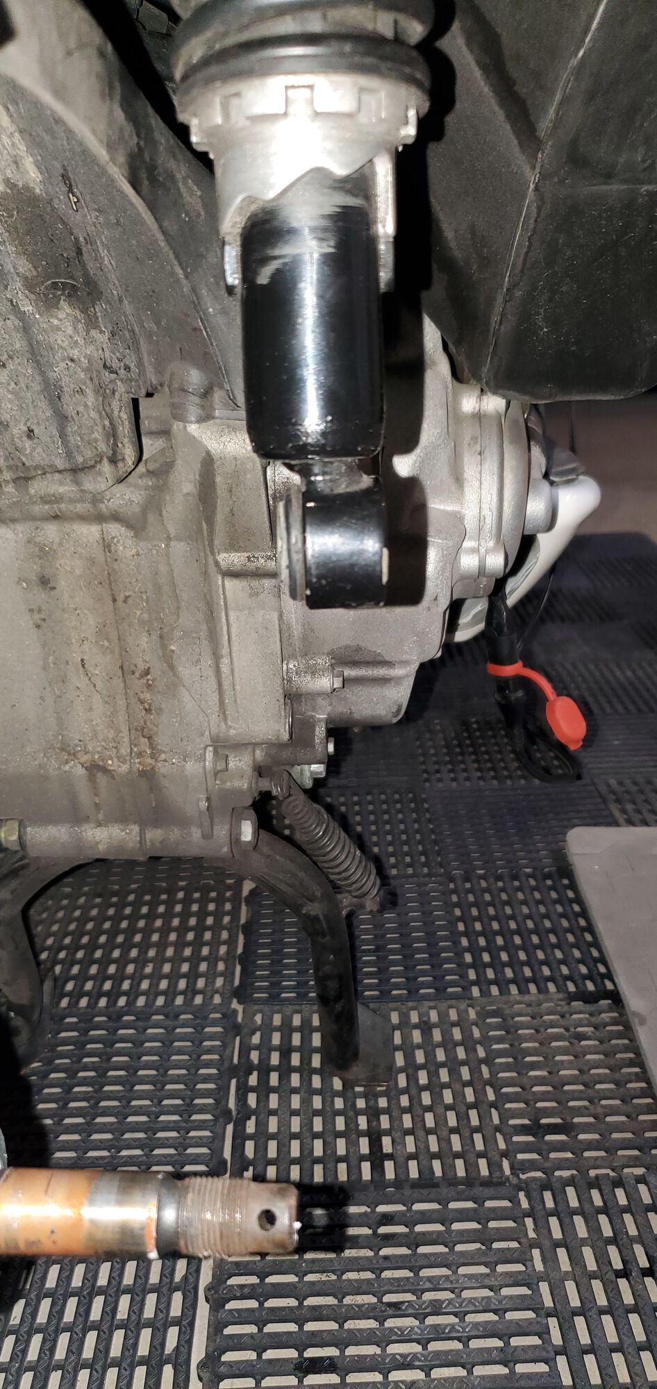 Forum member supplied image with no explanatory text