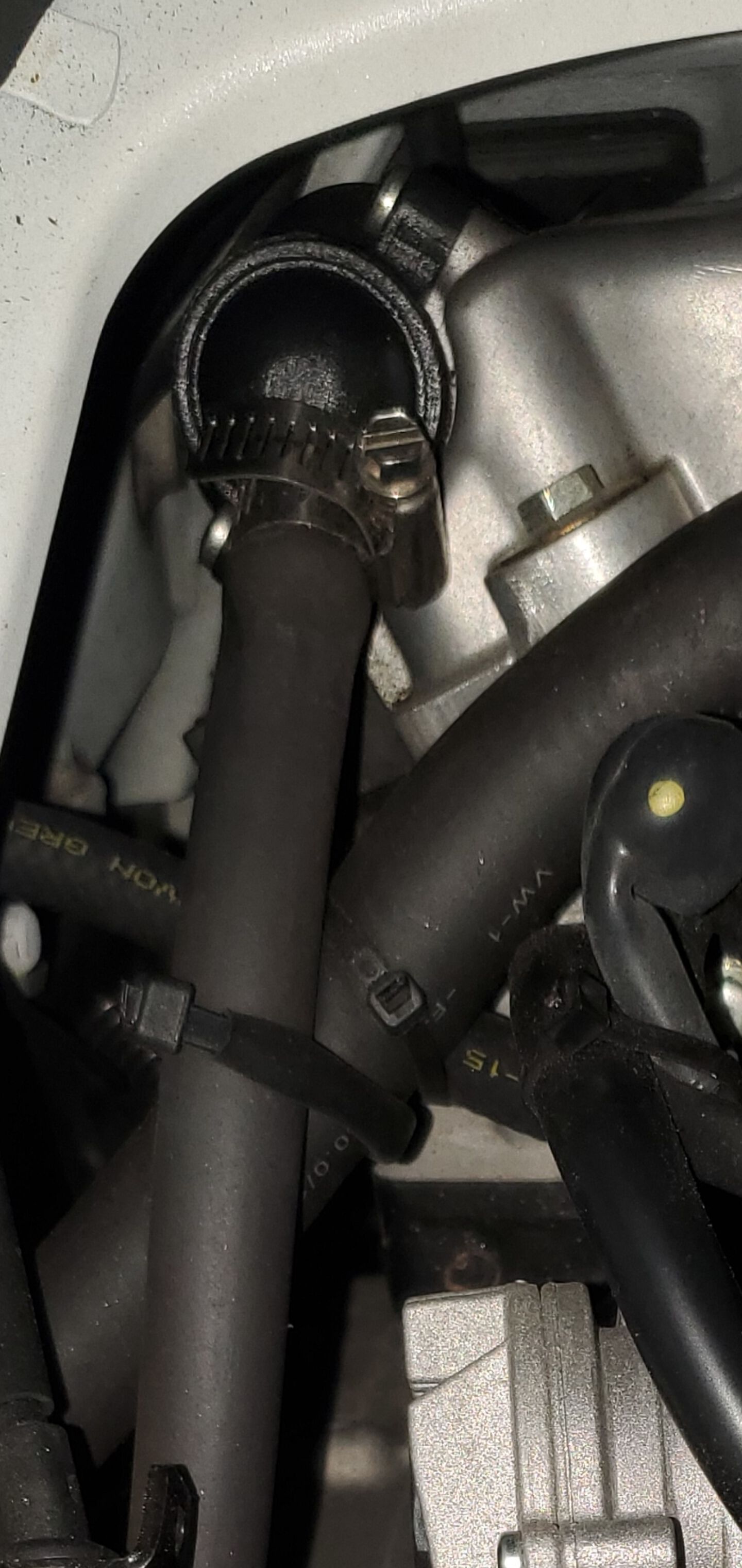 Forum member supplied image with no explanatory text