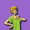 @shaggy01 avatar