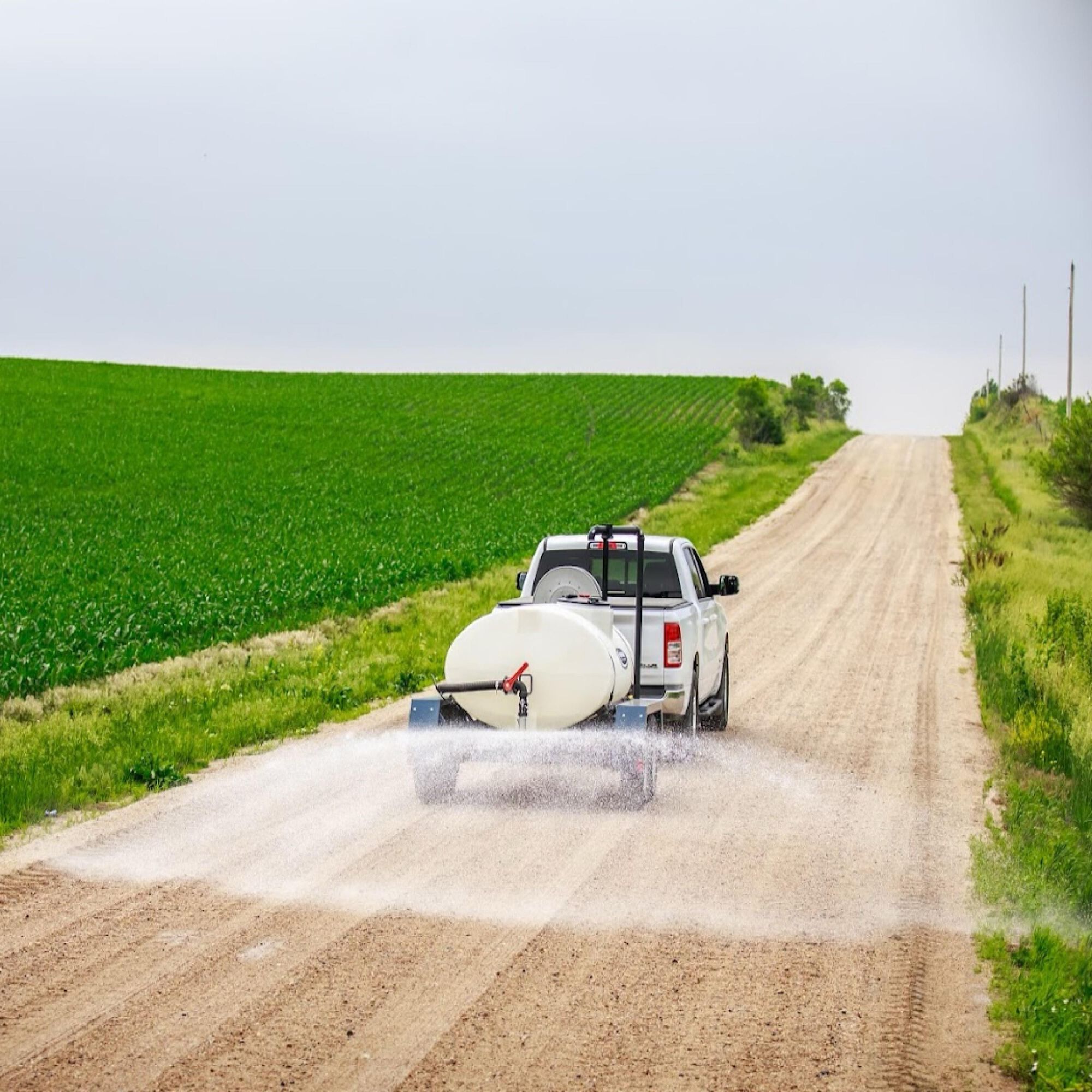 Forum member supplied image with no explanatory text