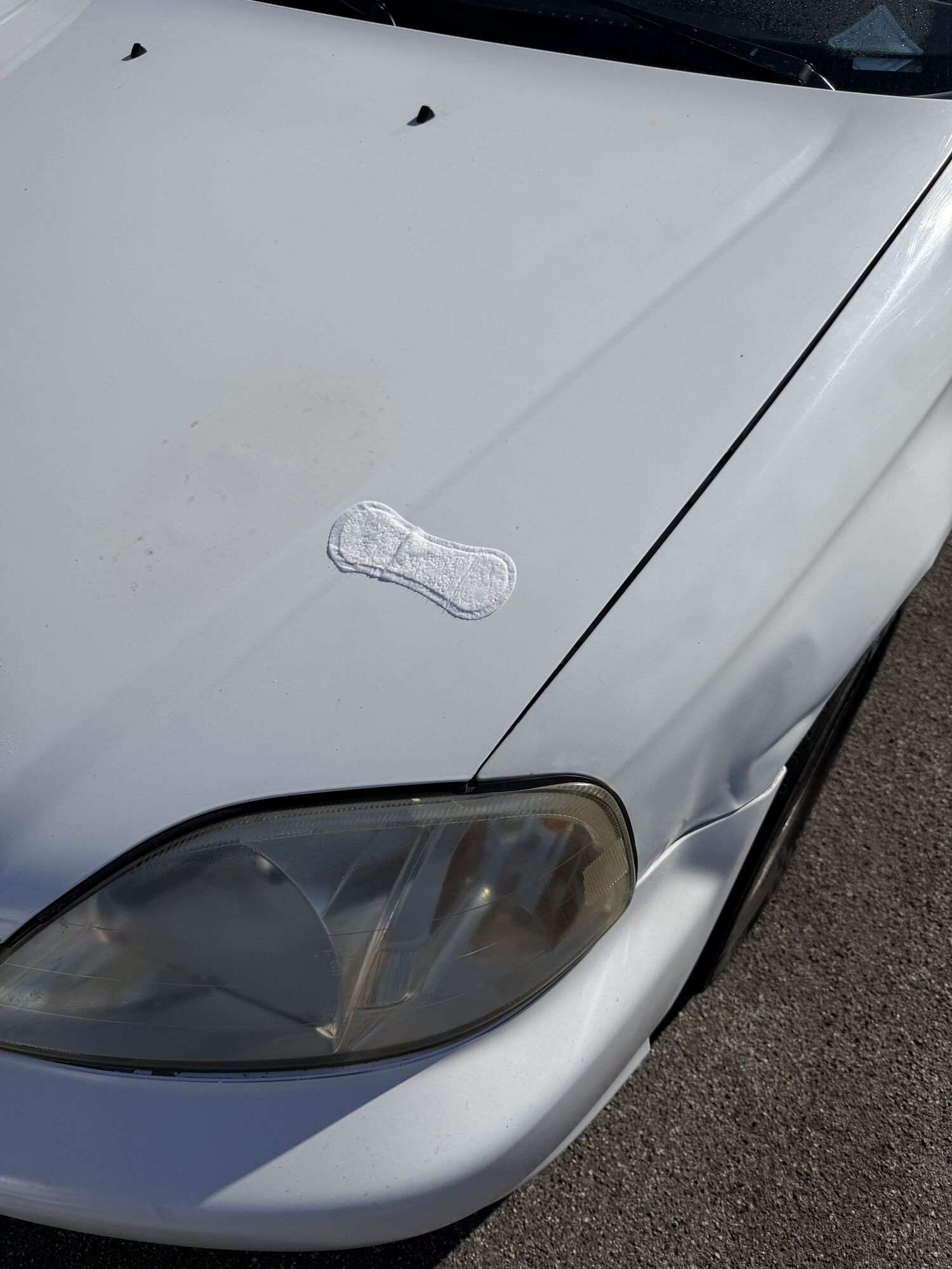 Forum member supplied image with no explanatory text