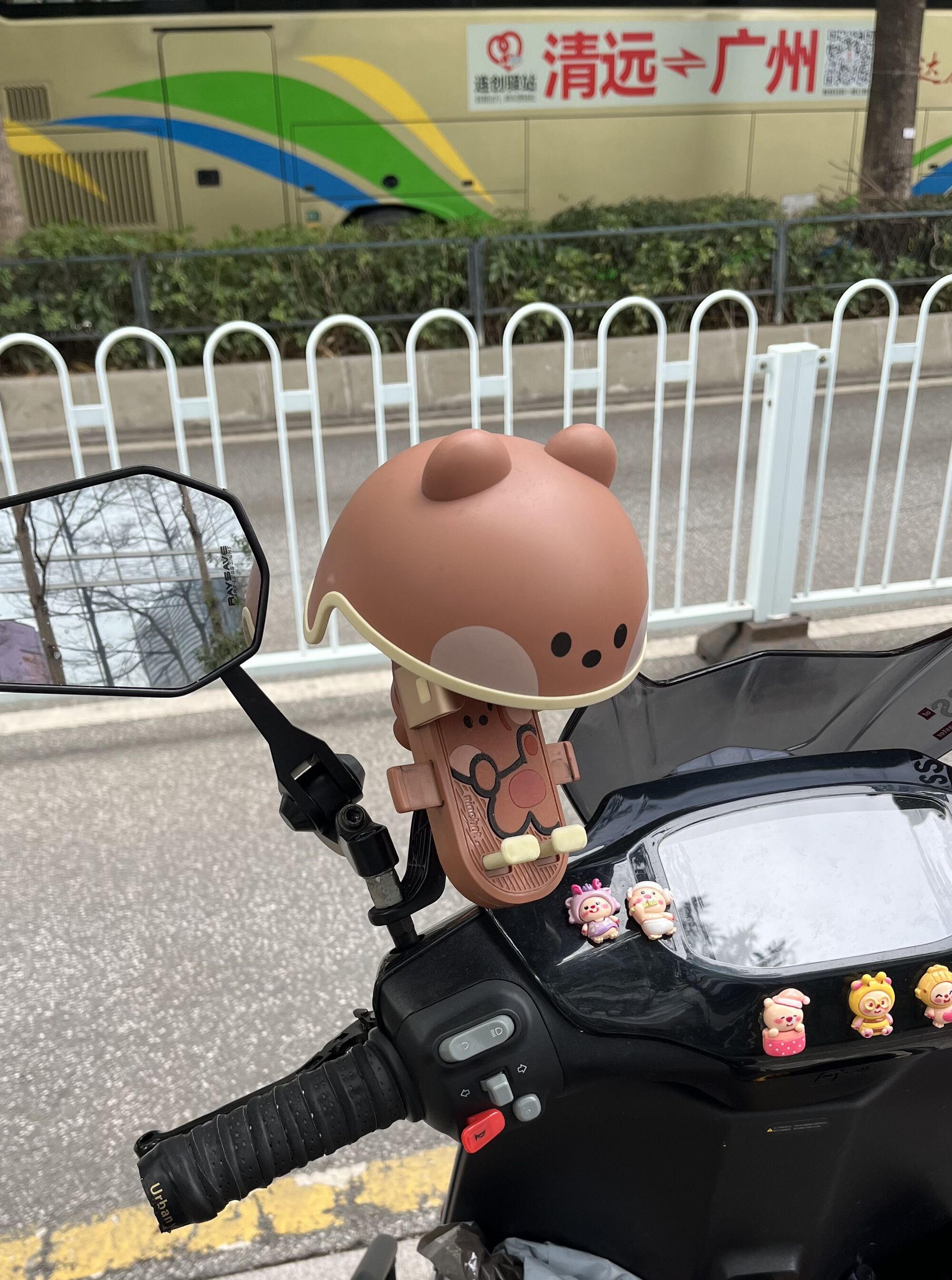 Forum member supplied image with no explanatory text