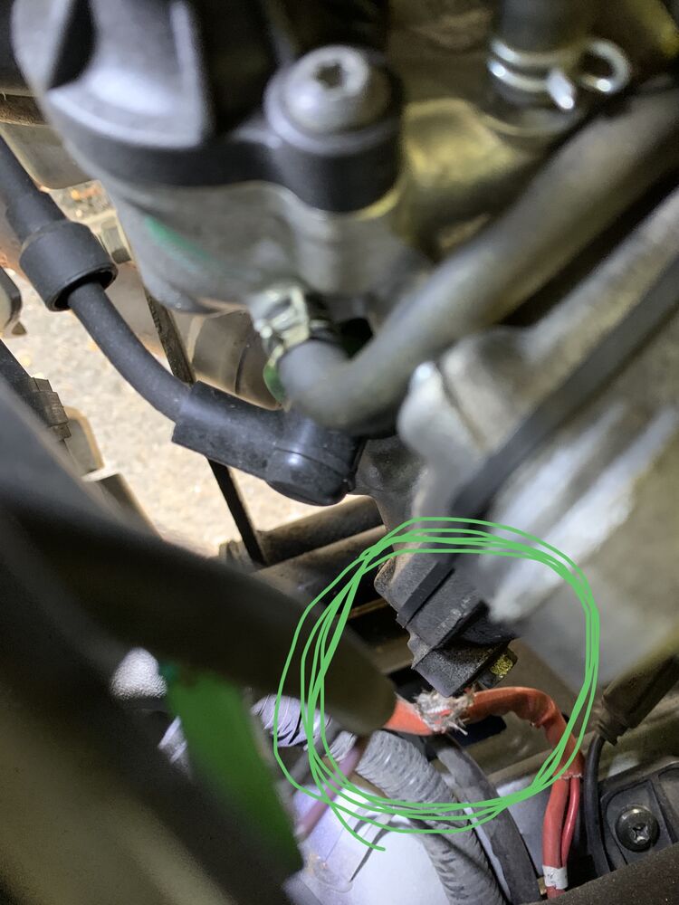 Forum member supplied image with no explanatory text
