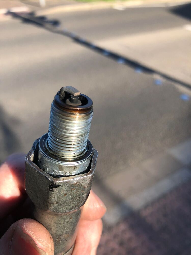 Forum member supplied image with no explanatory text