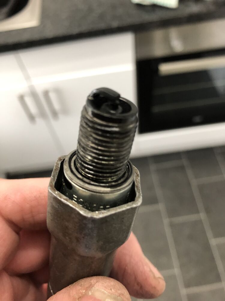 Forum member supplied image with no explanatory text