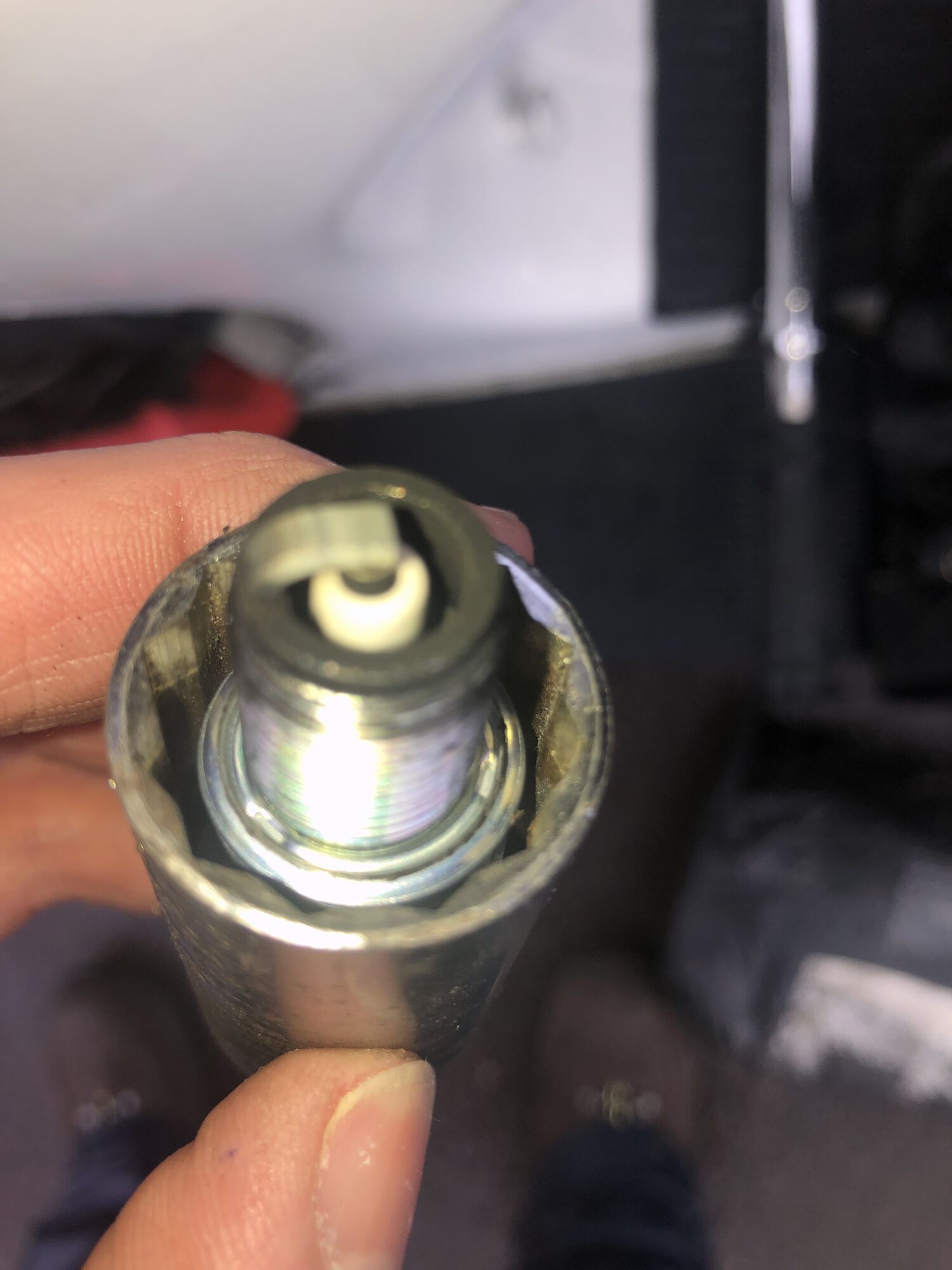 Forum member supplied image with no explanatory text