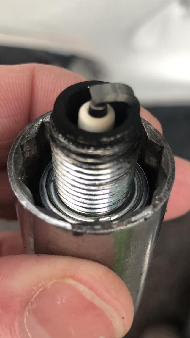 Forum member supplied image with no explanatory text