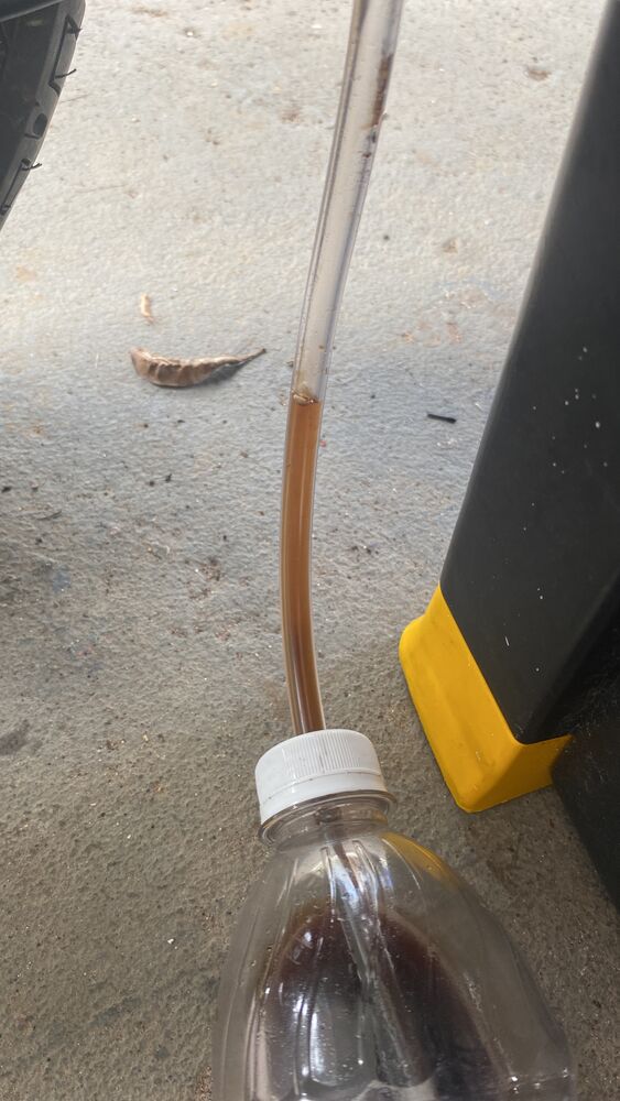 Forum member supplied image with no explanatory text