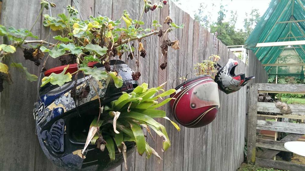 Forum member supplied image with no explanatory text