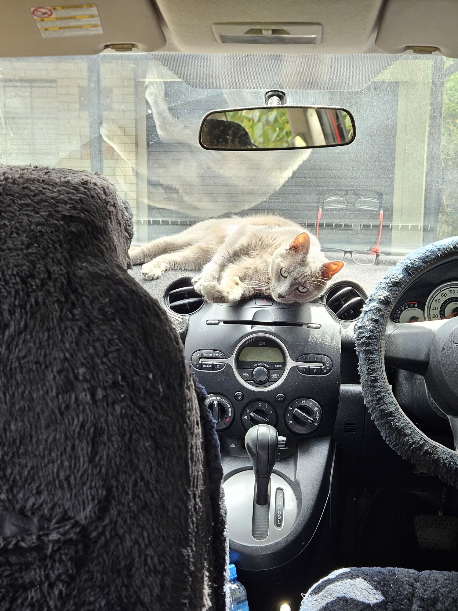 Forum member supplied image with no explanatory text