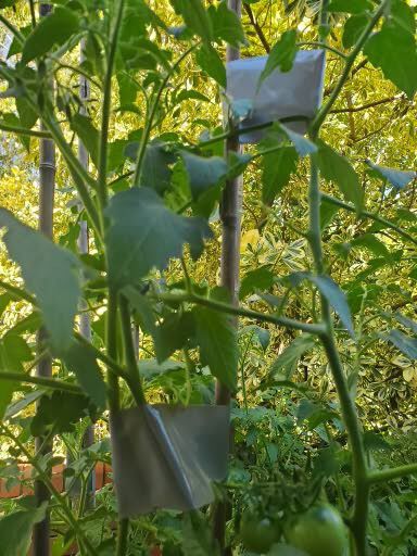 Forum member supplied image with no explanatory text