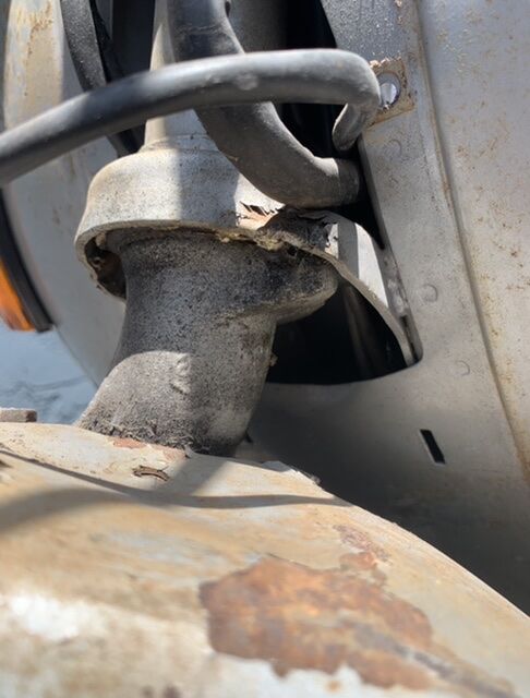 Forum member supplied image with no explanatory text