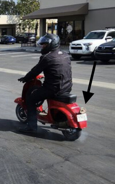 Forum member supplied image with no explanatory text