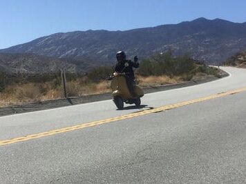 Forum member supplied image with no explanatory text