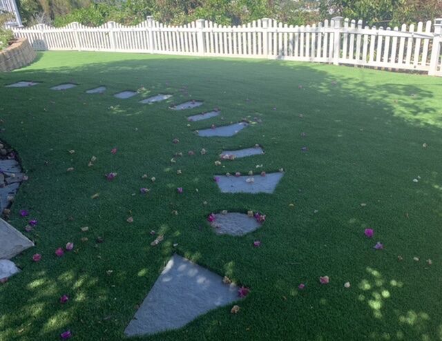 Pesky bougainvillea leaves