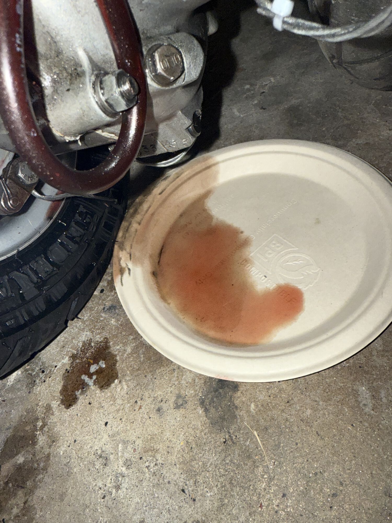 Forum member supplied image with no explanatory text