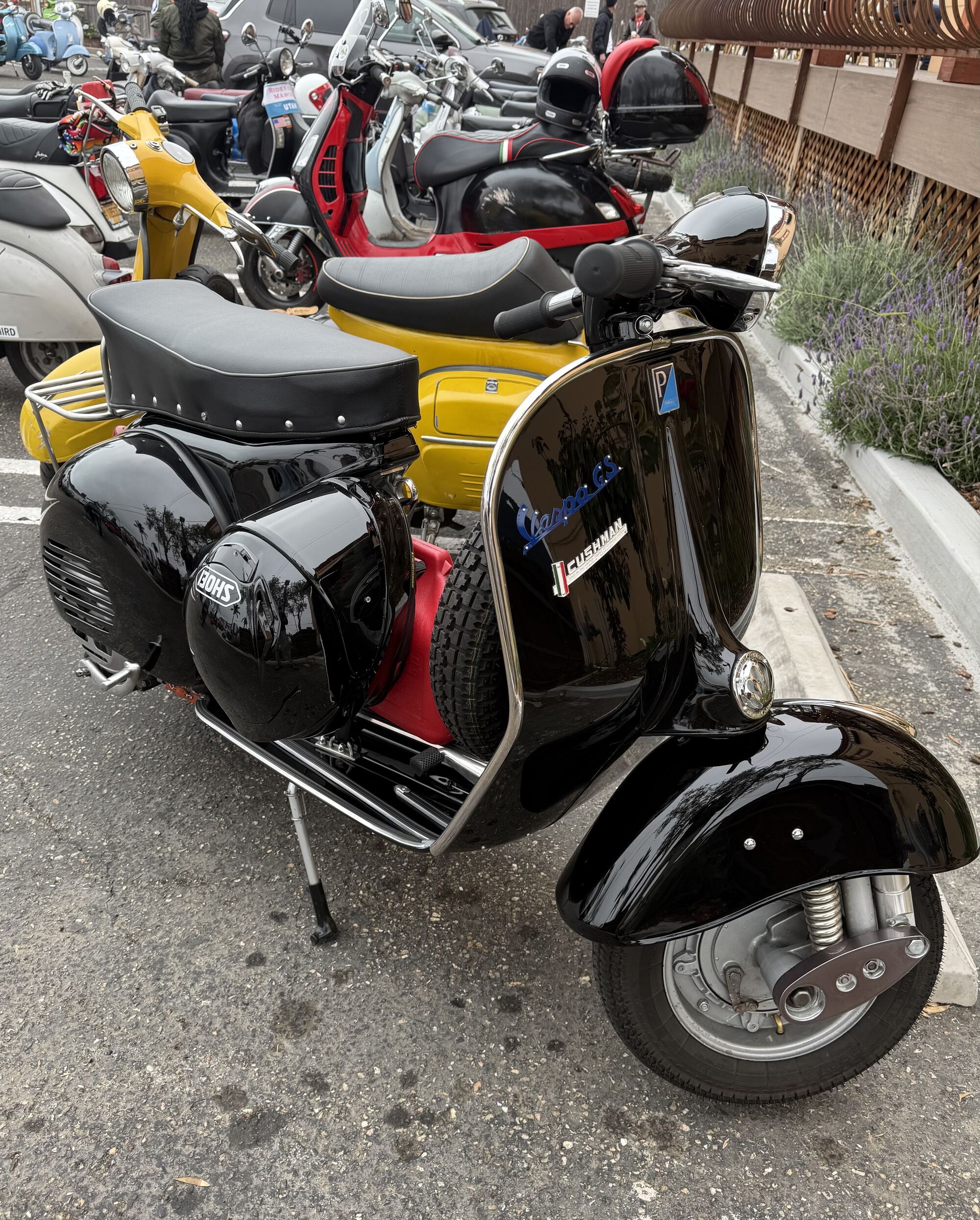 Yes, it's fast too!