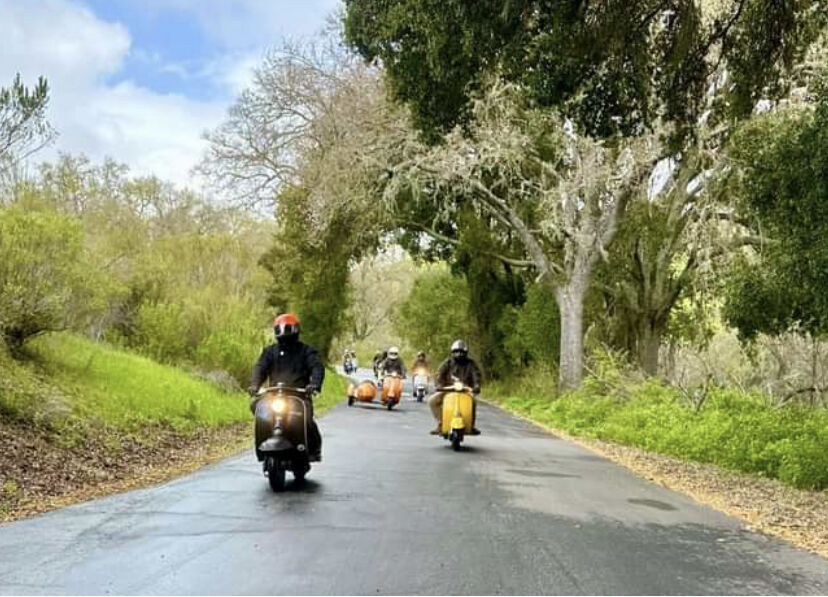 Forum member supplied image with no explanatory text