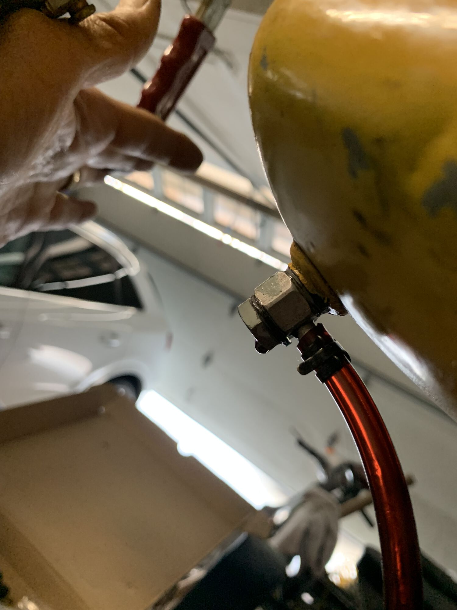 Forum member supplied image with no explanatory text