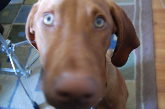 Ok enough scooter stuff.  Time for a walk.